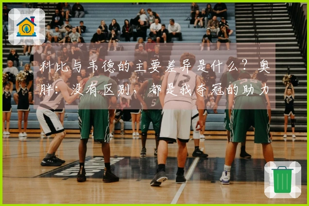 科比与韦德的主要差异是什么？奥胖：没有区别，都是我夺冠的助力